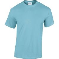 Gildan Heavy Cotton T-Shirt (GD05)