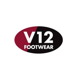 V12 logo