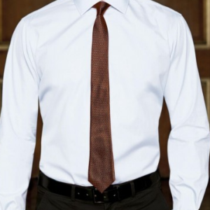 Brook Taverner Chester Classic Fit Cotton Poplin Shirt