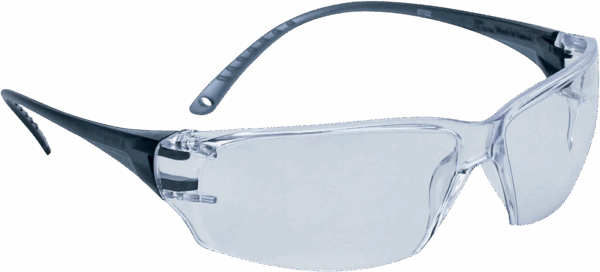 Delta Plus Milo Clear Safety Specs
