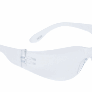 Delta Plus Brava2 Anti Fog Clear Safety Specs